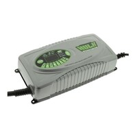 Battery Charger 12/24V 9 Stage 25amp Fully Automatic, Boost