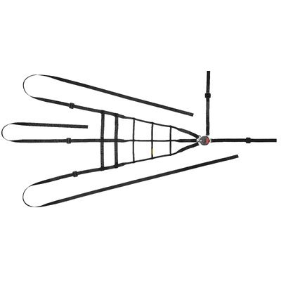 Schroth 5-Point Interior Net