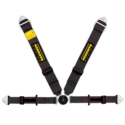 Schroth Profi II ASM Harness - Black RHS